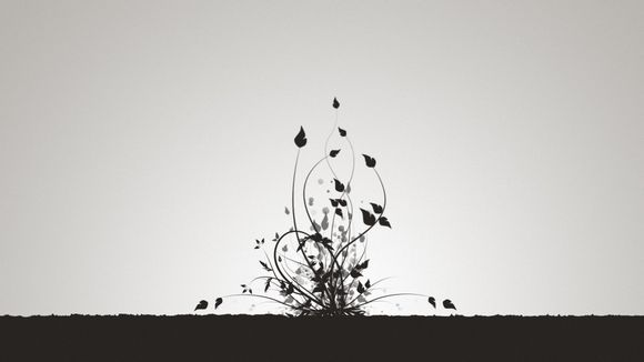 免费动作电影大全