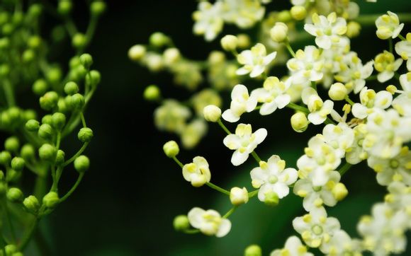 集成板装修墙面缺点