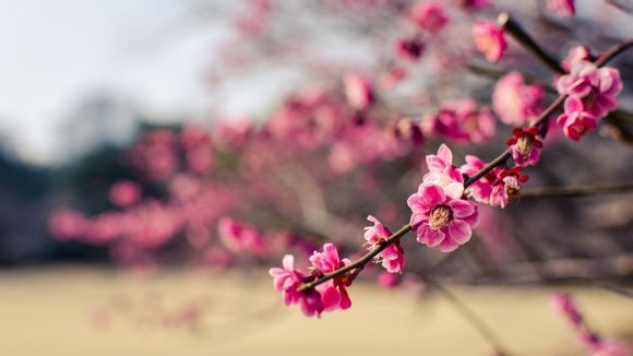 阴天如何油漆