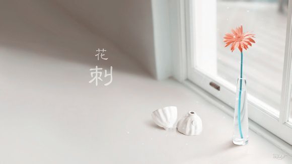 ipad怎么连接网线