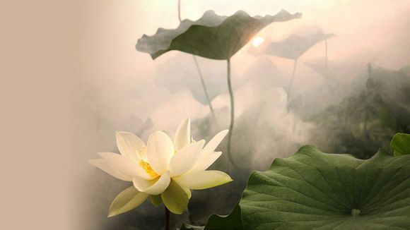 imi 怎么样