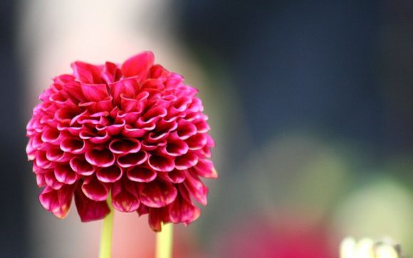 lumia1020+广角+多少度